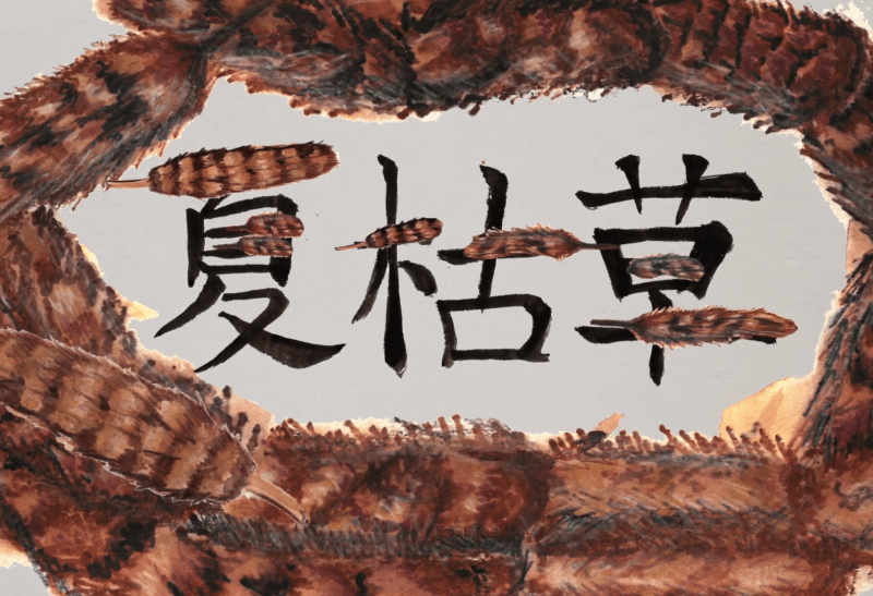 荃灣聖芳濟中學_江誠智