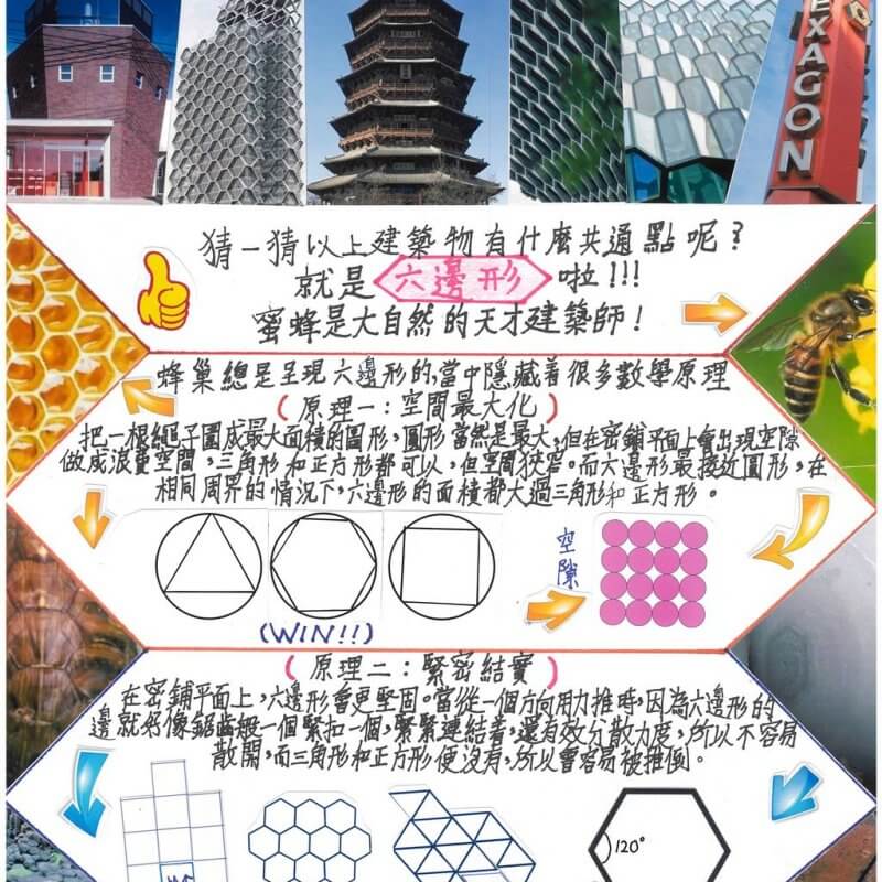 保良局陸慶濤小學_蔡禮鈺